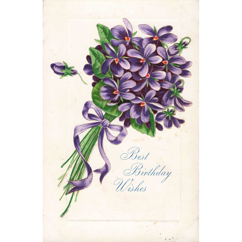 Birthday Postcard Purple Violets Bouquet Cosmos Series Embossed Germany c1910